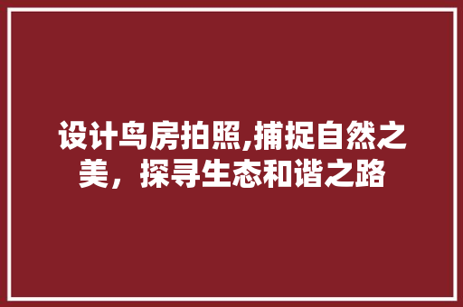 设计鸟房拍照,捕捉自然之美，探寻生态和谐之路