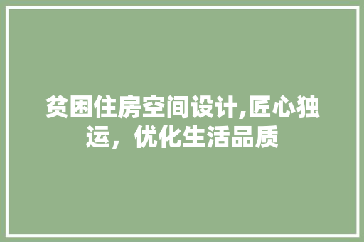 贫困住房空间设计,匠心独运，优化生活品质