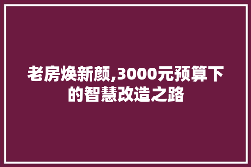 老房焕新颜,3000元预算下的智慧改造之路