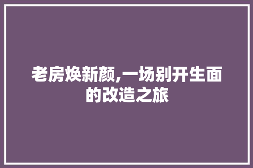 老房焕新颜,一场别开生面的改造之旅