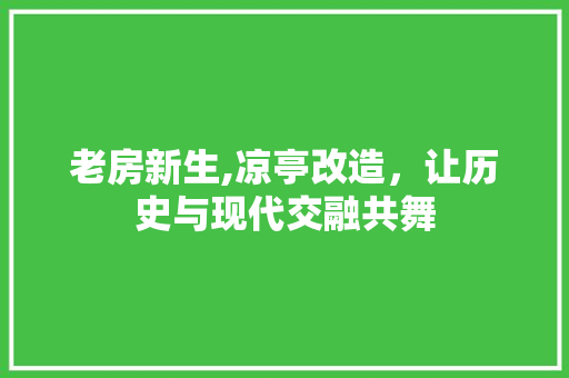 老房新生,凉亭改造，让历史与现代交融共舞