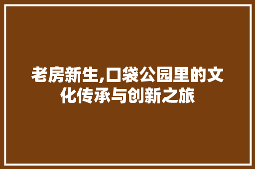 老房新生,口袋公园里的文化传承与创新之旅