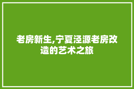 老房新生,宁夏泾源老房改造的艺术之旅