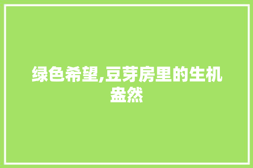 绿色希望,豆芽房里的生机盎然