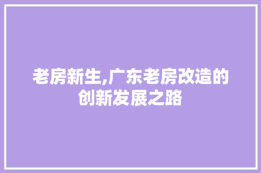 老房新生,广东老房改造的创新发展之路