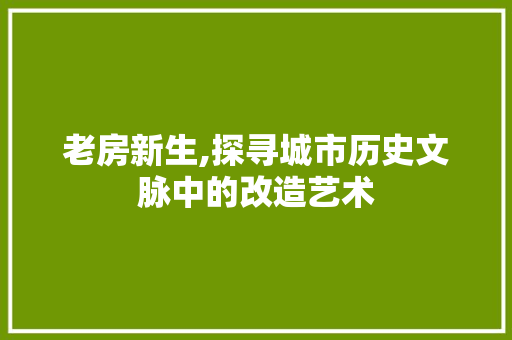 老房新生,探寻城市历史文脉中的改造艺术