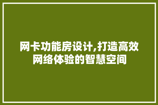 网卡功能房设计,打造高效网络体验的智慧空间
