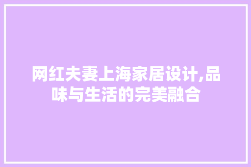 网红夫妻上海家居设计,品味与生活的完美融合