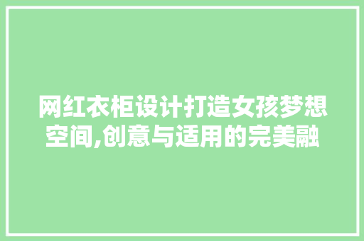 网红衣柜设计打造女孩梦想空间,创意与适用的完美融合
