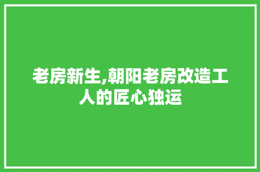 老房新生,朝阳老房改造工人的匠心独运