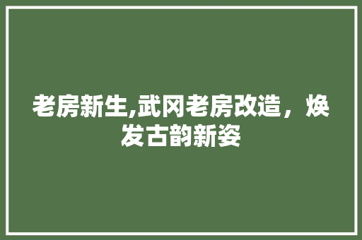 老房新生,武冈老房改造，焕发古韵新姿