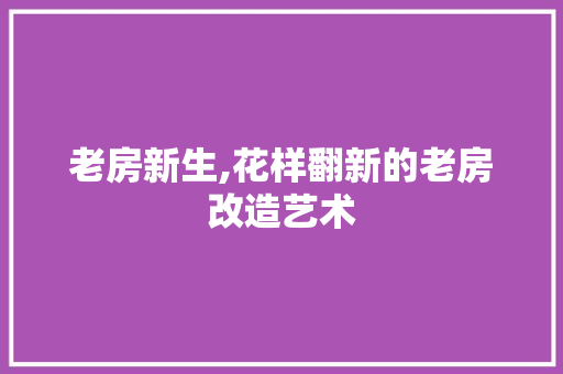 老房新生,花样翻新的老房改造艺术