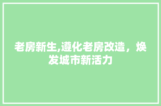 老房新生,遵化老房改造，焕发城市新活力