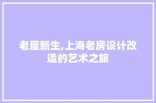 老屋新生,上海老房设计改造的艺术之旅