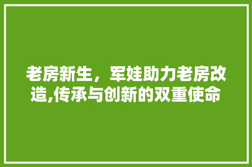 老房新生，军娃助力老房改造,传承与创新的双重使命
