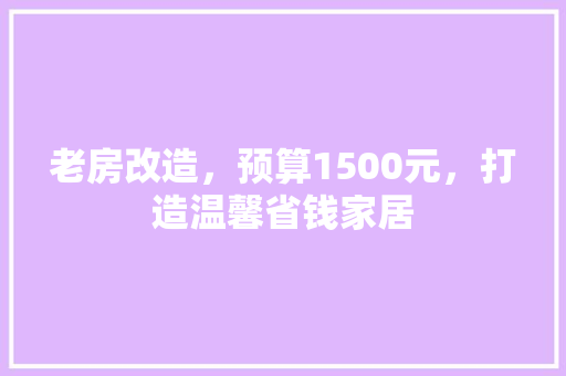 老房改造，预算1500元，打造温馨省钱家居