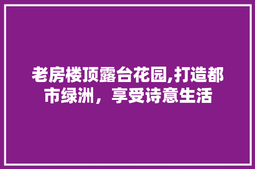 老房楼顶露台花园,打造都市绿洲，享受诗意生活