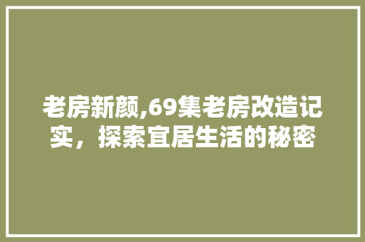 老房新颜,69集老房改造记实，探索宜居生活的秘密