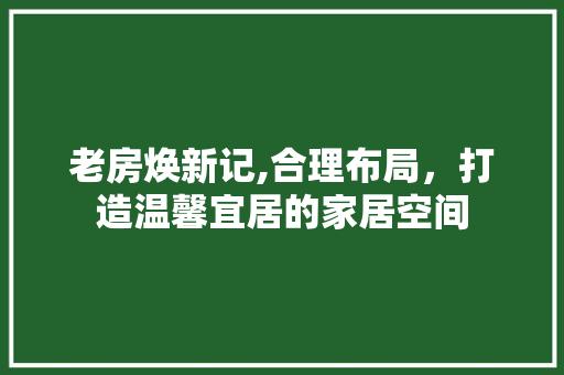 老房焕新记,合理布局，打造温馨宜居的家居空间