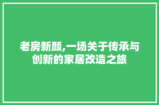 老房新颜,一场关于传承与创新的家居改造之旅