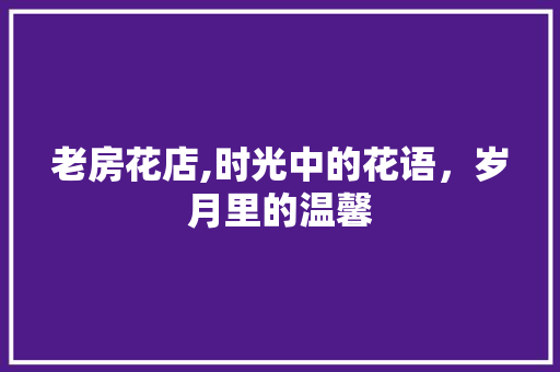 老房花店,时光中的花语，岁月里的温馨