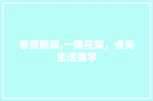 老房新颜,一隅花架，点亮生活美学