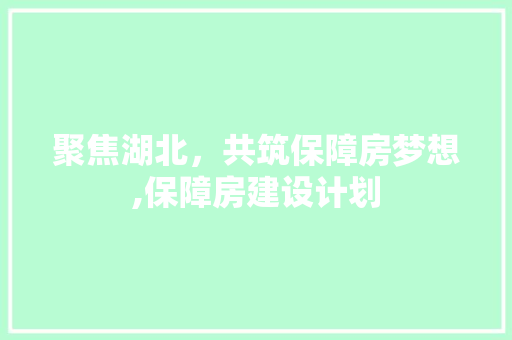 聚焦湖北，共筑保障房梦想,保障房建设计划