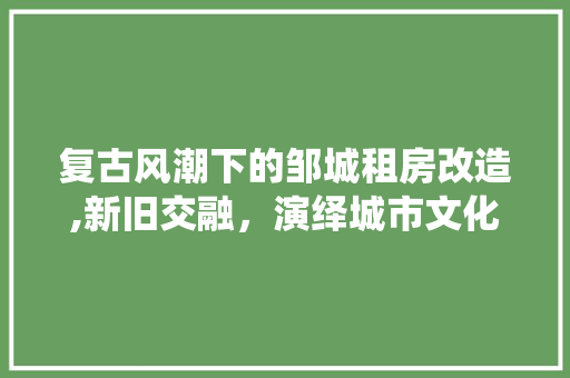 复古风潮下的邹城租房改造,新旧交融，演绎城市文化新篇章