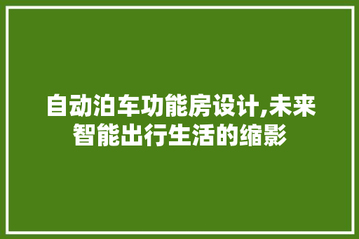 自动泊车功能房设计,未来智能出行生活的缩影