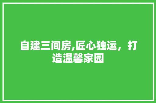自建三间房,匠心独运，打造温馨家园