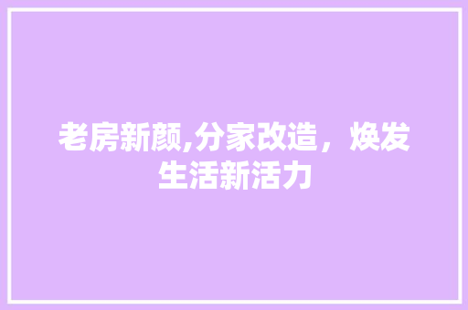 老房新颜,分家改造，焕发生活新活力