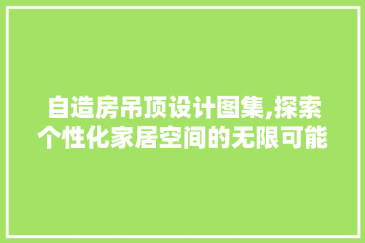 自造房吊顶设计图集,探索个性化家居空间的无限可能