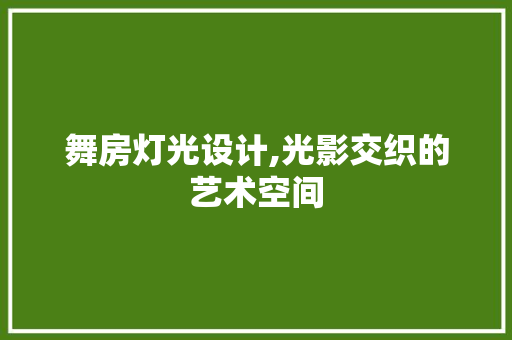 舞房灯光设计,光影交织的艺术空间