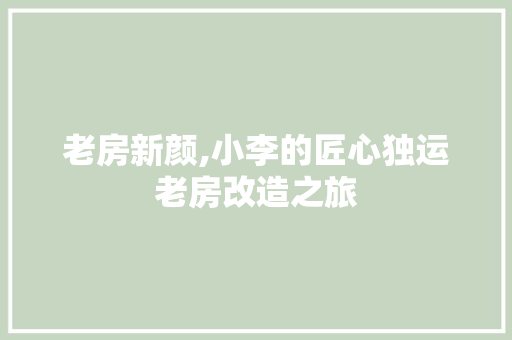 老房新颜,小李的匠心独运老房改造之旅