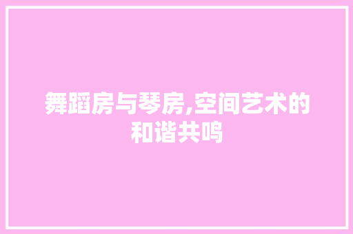 舞蹈房与琴房,空间艺术的和谐共鸣