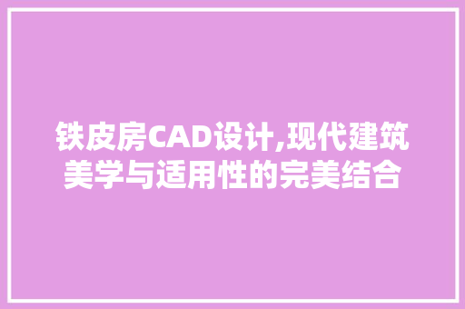 铁皮房CAD设计,现代建筑美学与适用性的完美结合