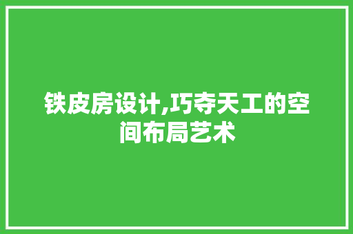 铁皮房设计,巧夺天工的空间布局艺术