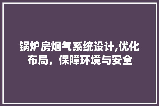 锅炉房烟气系统设计,优化布局，保障环境与安全