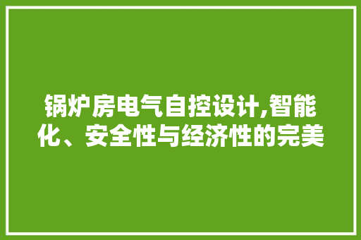 锅炉房电气自控设计,智能化、安全性与经济性的完美融合