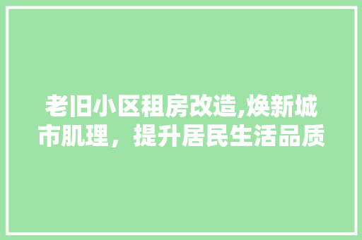老旧小区租房改造,焕新城市肌理，提升居民生活品质