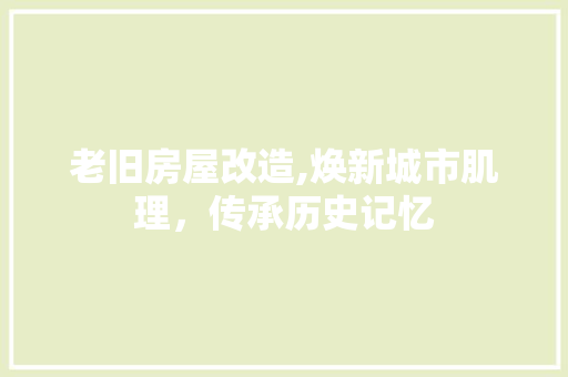 老旧房屋改造,焕新城市肌理，传承历史记忆