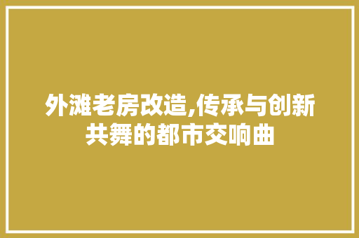 外滩老房改造,传承与创新共舞的都市交响曲