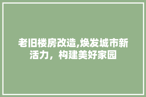 老旧楼房改造,焕发城市新活力，构建美好家园