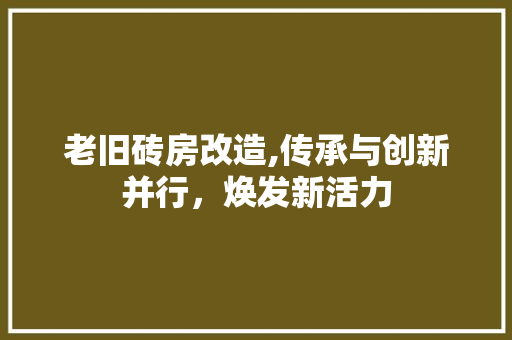 老旧砖房改造,传承与创新并行，焕发新活力