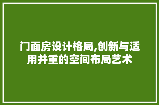 门面房设计格局,创新与适用并重的空间布局艺术