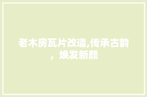 老木房瓦片改造,传承古韵，焕发新颜