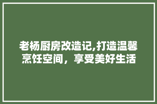 老杨厨房改造记,打造温馨烹饪空间，享受美好生活
