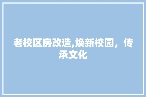 老校区房改造,焕新校园，传承文化