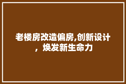 老楼房改造偏房,创新设计，焕发新生命力