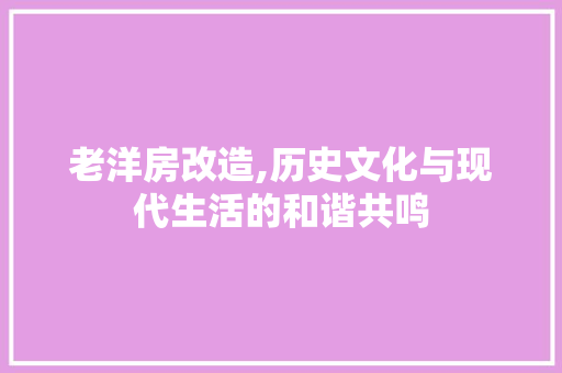 老洋房改造,历史文化与现代生活的和谐共鸣